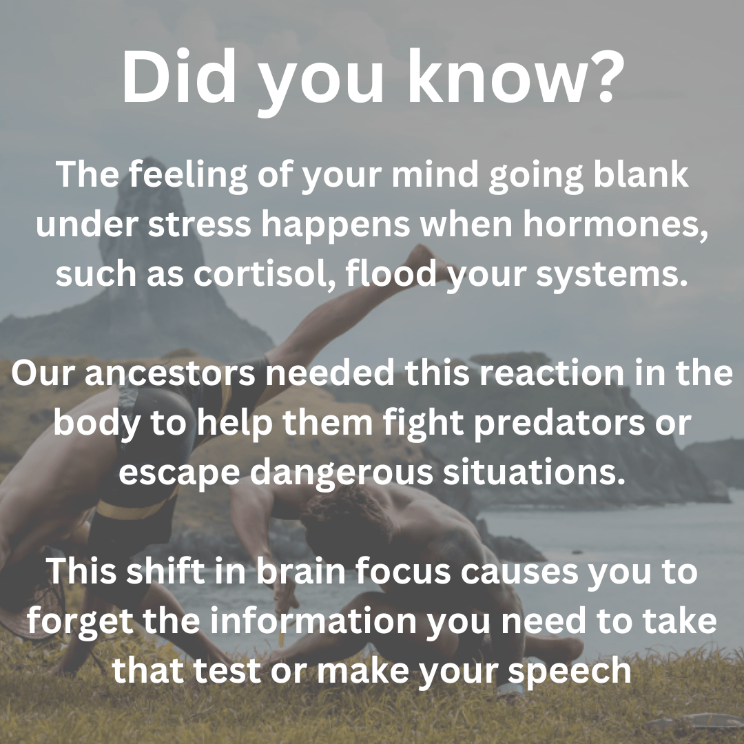 mind feels blank mind feels blank