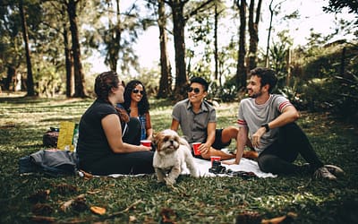 How to have a good conversation? 44 best tips & examples