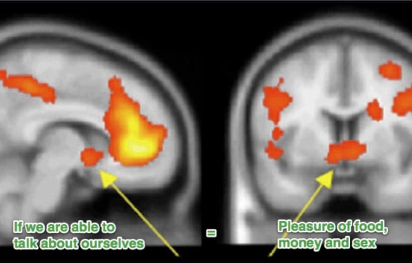 talking about ourselves stimulates our brains get people talking to start conversation